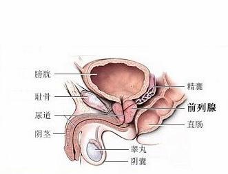发生前列腺肿大有什么危害?