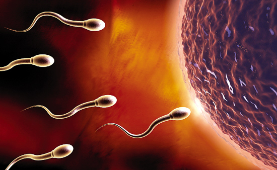 男性精液中混入血丝有哪些危害?